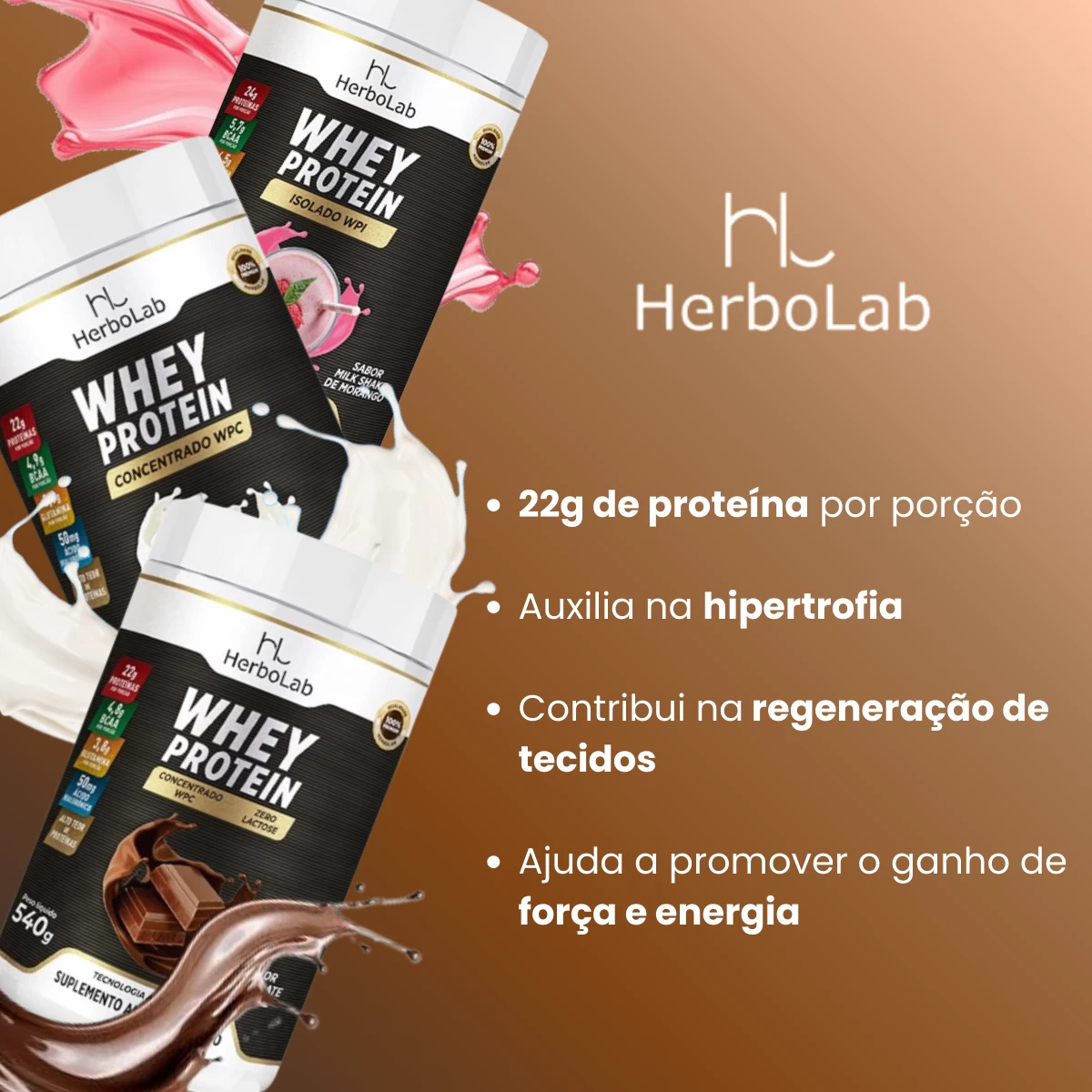 Whey Protein Concentrado (Zero Lactose) - Sabor Chocolate image hover